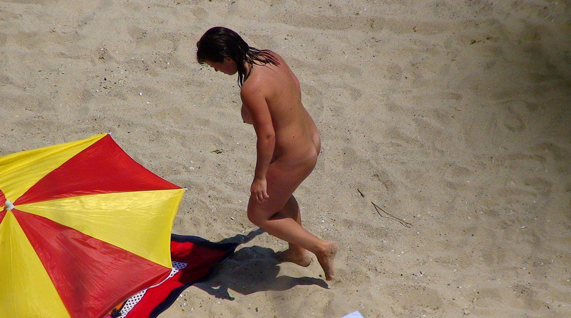 Purenudism-Nude Beach Assortment - 1