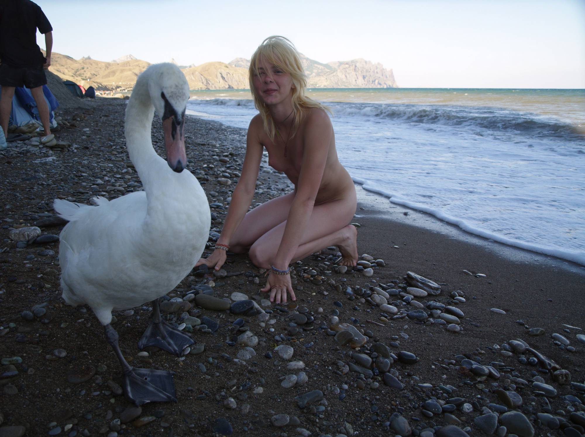 Purenudism Gallery-Nude Ocean Swan Beauty - 1