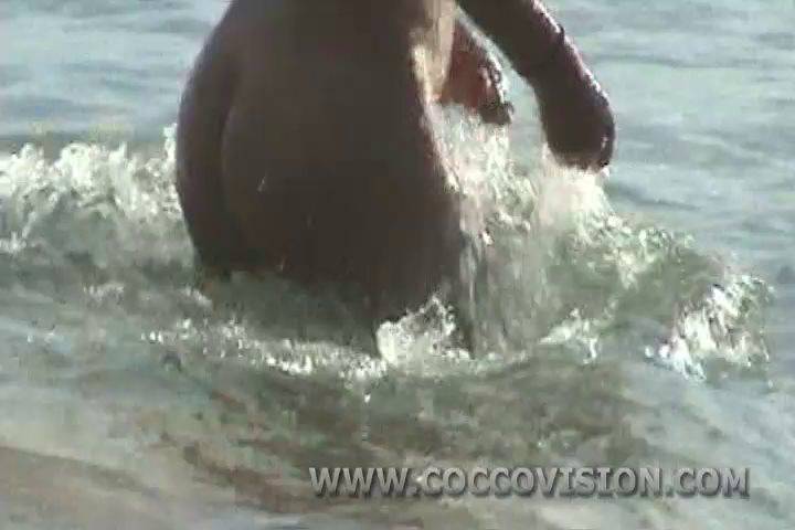 Nudist Videos-Tropical Beach Beauties 4  - 3