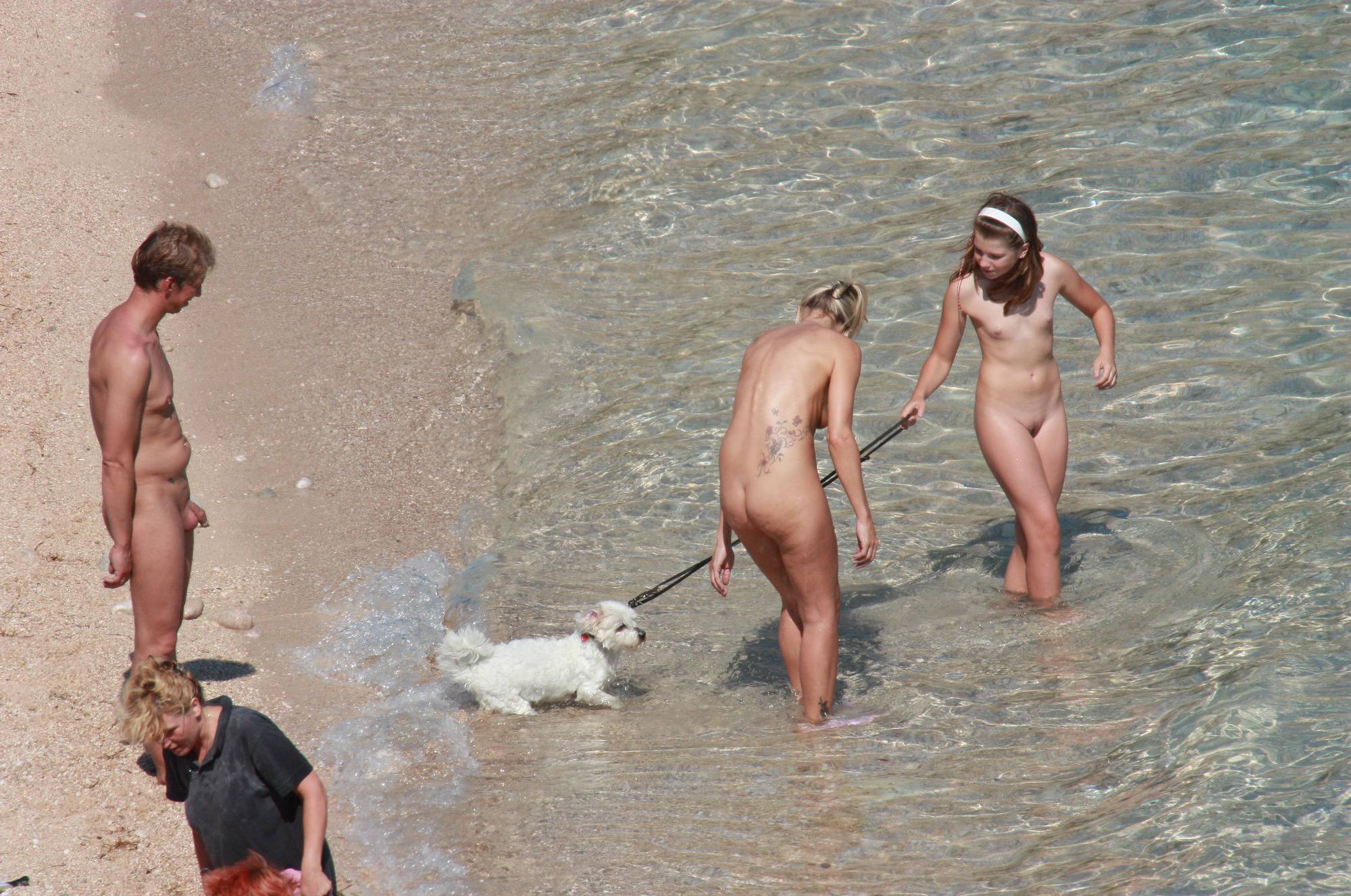 Nudist Beach Family Dog - 1